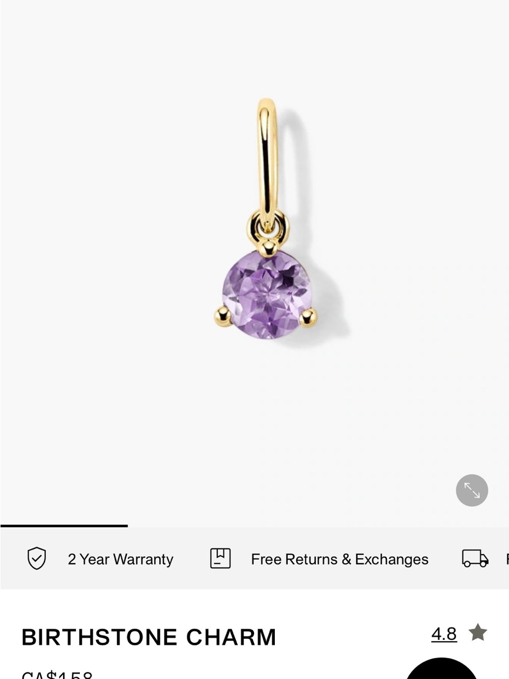 Mejuri 10k gold amethyst birthstone charm